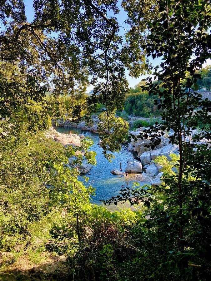 La Frigoule, Un Gite Au Coeur Du Parc Des Cevennes Generargues Dış mekan fotoğraf