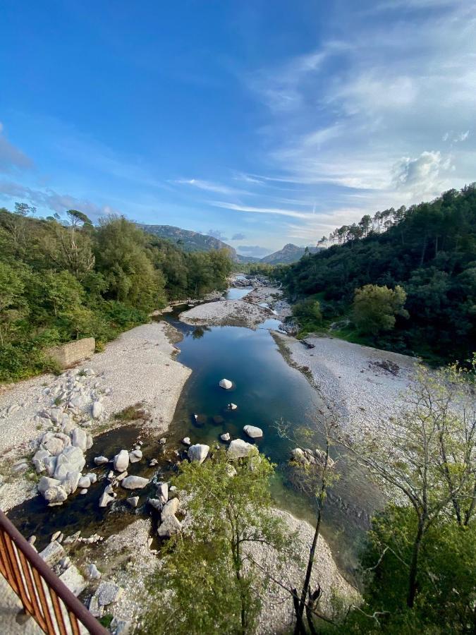 La Frigoule, Un Gite Au Coeur Du Parc Des Cevennes Generargues Dış mekan fotoğraf