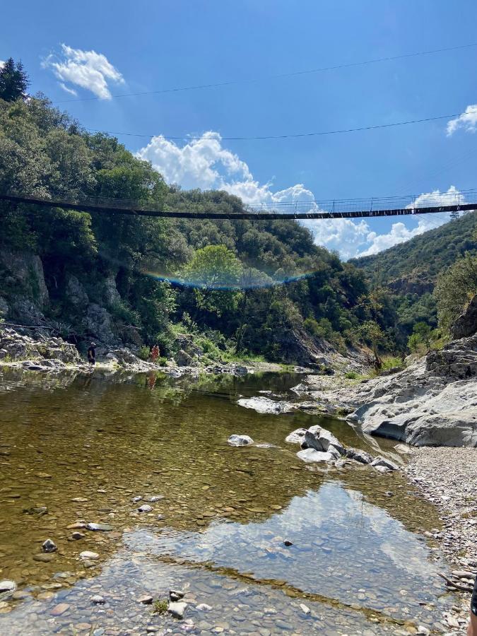 La Frigoule, Un Gite Au Coeur Du Parc Des Cevennes Generargues Dış mekan fotoğraf