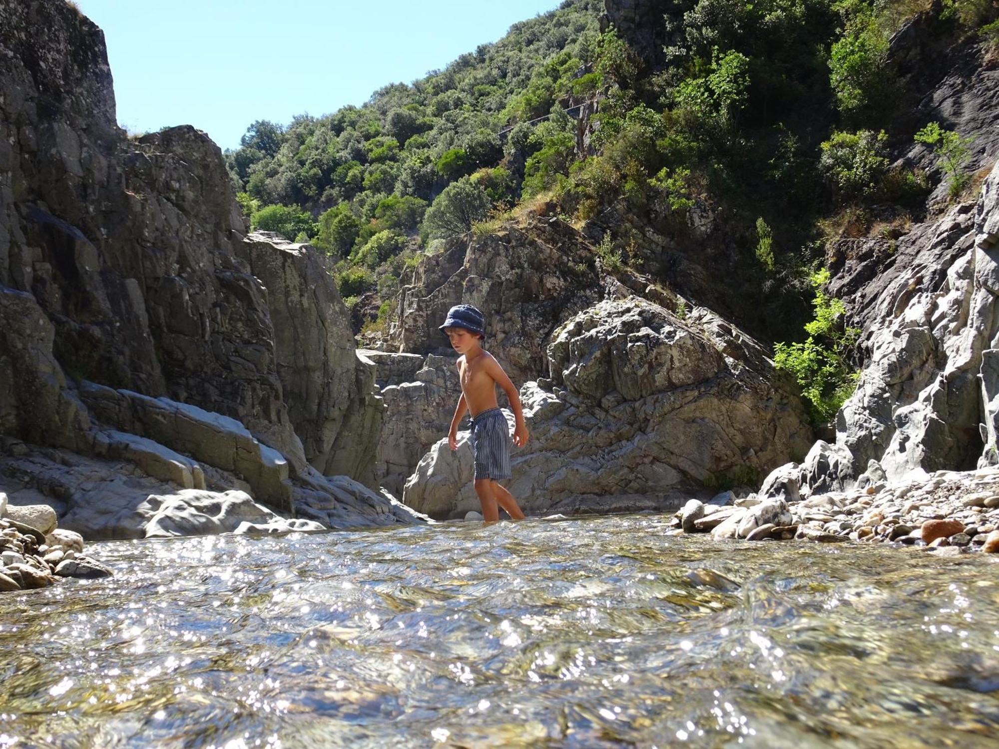 La Frigoule, Un Gite Au Coeur Du Parc Des Cevennes Generargues Dış mekan fotoğraf